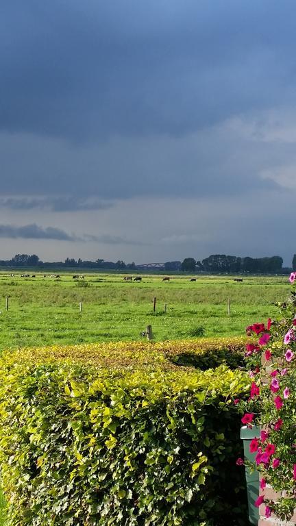 B&B De Rivierduin ฮาเทม ภายนอก รูปภาพ